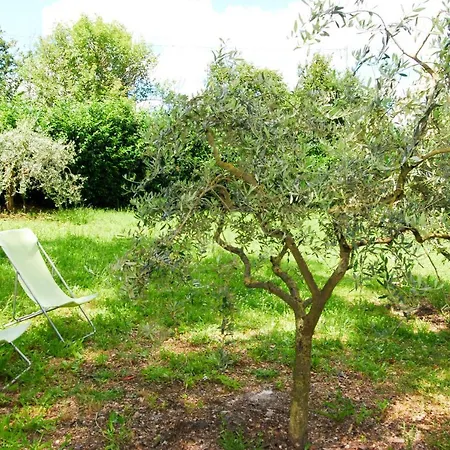 Casale Degli Artisti Flat With Garden&parking Appartamento